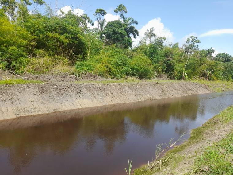 Drainage canal cleaned out with banks cut back