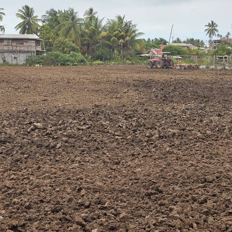 Cleared lot assessed and ready for pricing