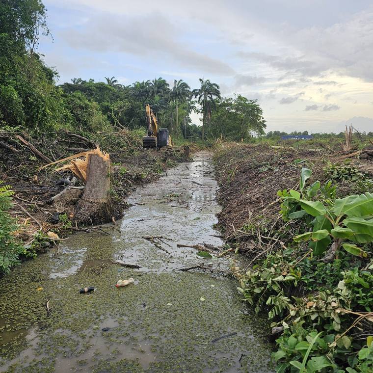 Overgrown drain cleared, excavator working the far end